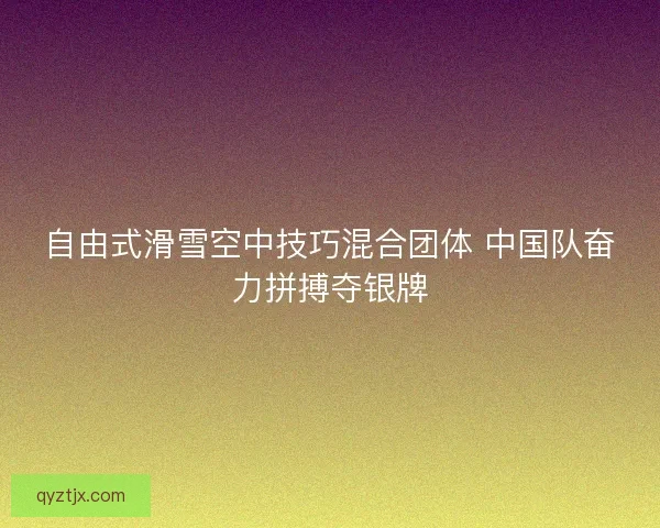 自由式滑雪空中技巧混合团体 中国队奋力拼搏夺银牌